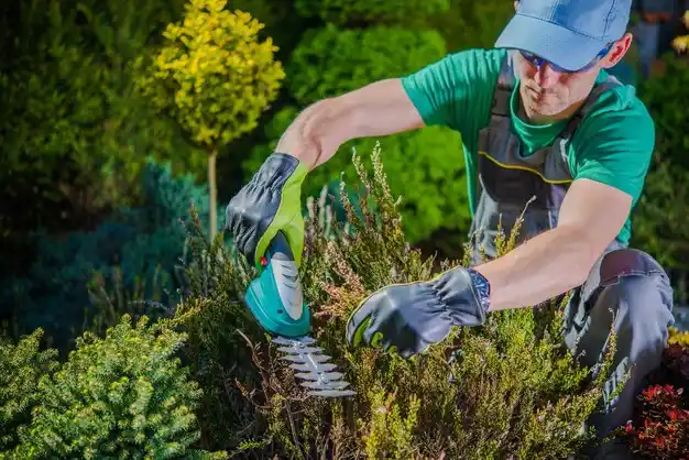 landscaping services Stannards